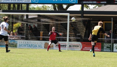 IMG_3801 (Large).JPG